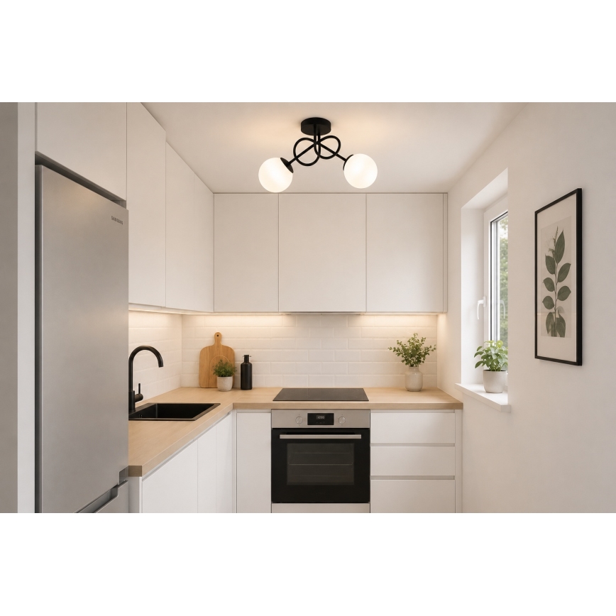 BRILAGI - Plafonski luster MILO 2xE27/60W/230V crni