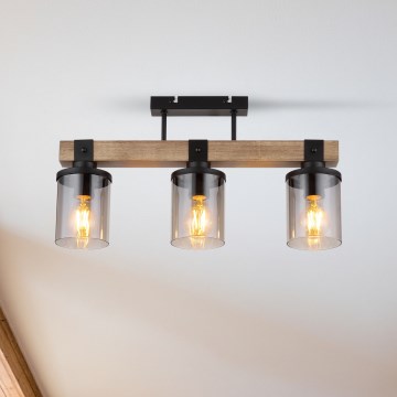 Brilagi - Plafonski luster VISTA 3xE27/60W/230V hrast