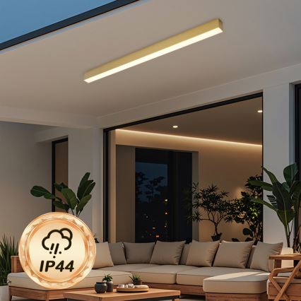 Brilagi - LED kupatilsko plafonsko svetlo SLEEKLINE LED/40W/230V 3000/4500/6000K zlatna IP44