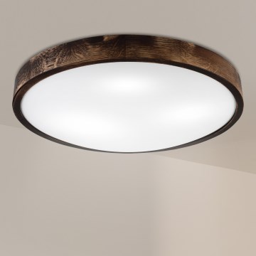 Brilagi - Plafonsko svetlo CARVALHO SLIM SMOKEY 3xE27/60W/230V hrast prečnik 47,5 cm
