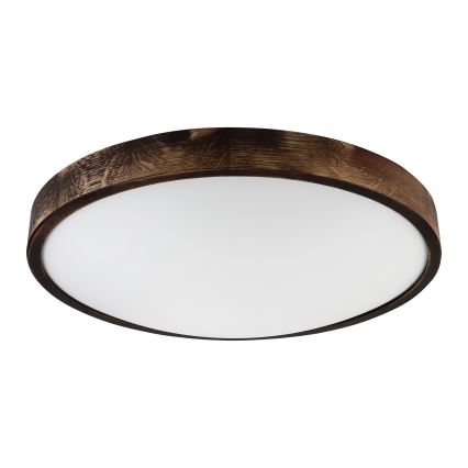 Brilagi - Plafonsko svetlo CARVALHO SLIM SMOKEY 3xE27/60W/230V hrast prečnik 47,5 cm