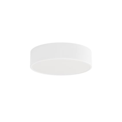 Brilagi - Plafonsko svetlo CLARE 2xE27/24W/230V prečnika 30 cm, belo