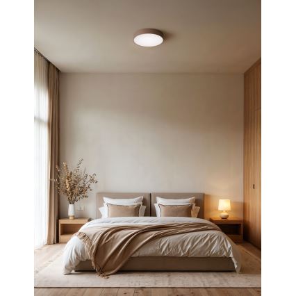 Brilagi - Plafonsko svetlo CLARE 3xE27/40W/230V prečnik 40 cm braon
