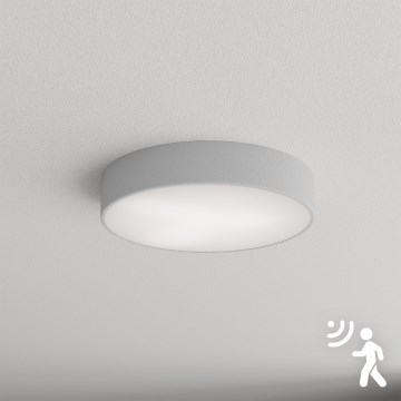 Brilagi - Plafonsko svetlo CLARE sa senzorom, 3xE27/40W/230V, prečnik 40 cm, sivo