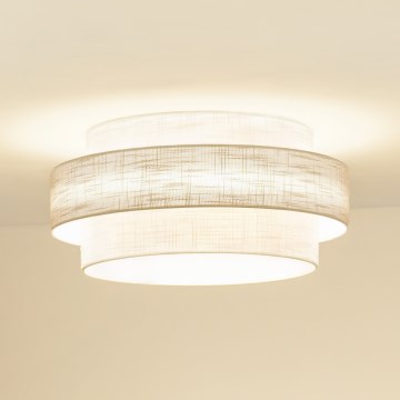 Brilagi - Plafonsko svetlo DOVER SPACE LED/12W/230V prečnik 50 cm 3000K/4000K/6400K siva/krem