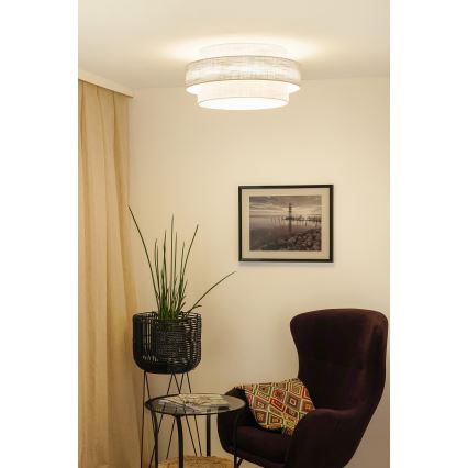 Brilagi - Plafonsko svetlo DOVER SPACE LED/12W/230V prečnik 50 cm 3000K/4000K/6400K siva/krem