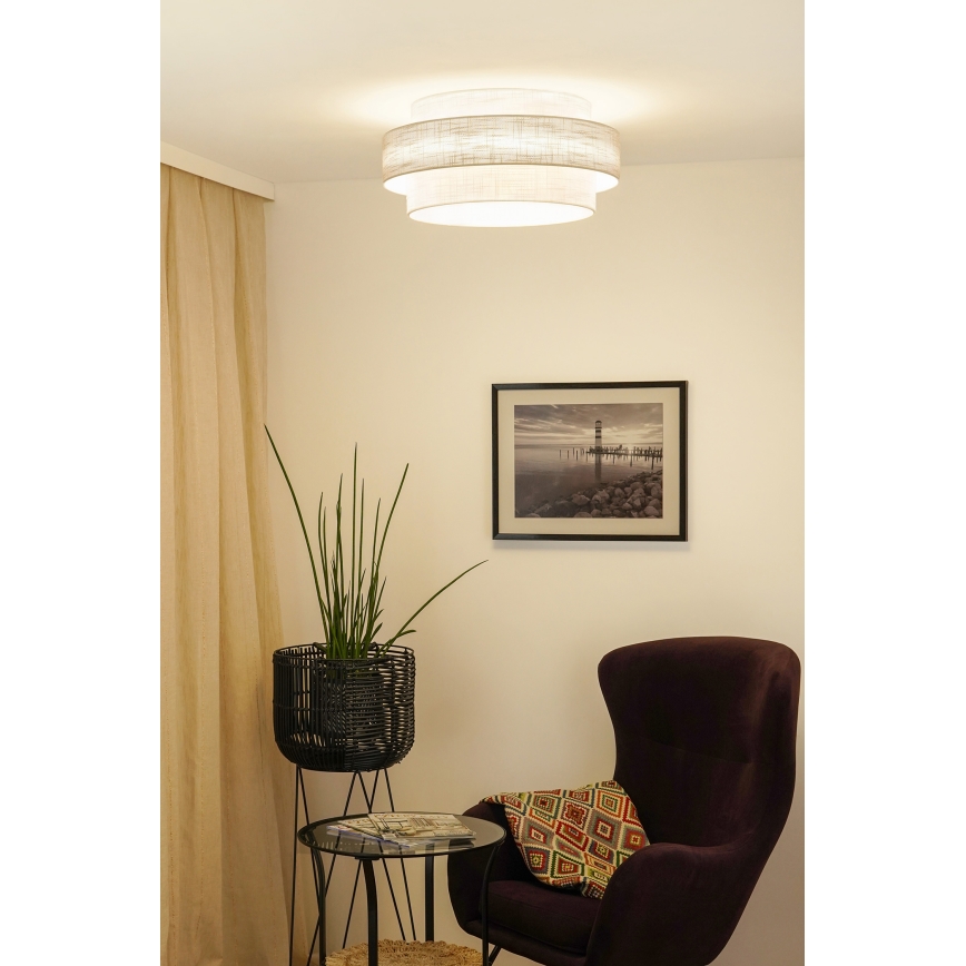 Brilagi - Plafonsko svetlo DOVER SPACE LED/12W/230V prečnik 50 cm 3000K/4000K/6400K siva/krem