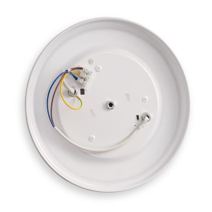 BRILAGI - Plafonsko svetlo FRESCO 2xE27/40W/230V prečnik 30 cm srebrno