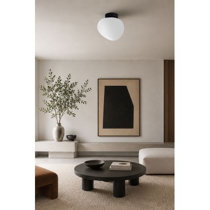 BRILAGI - Plafonsko svetlo PEBBLES 1xE27/40W/230V Ø 20 cm crna