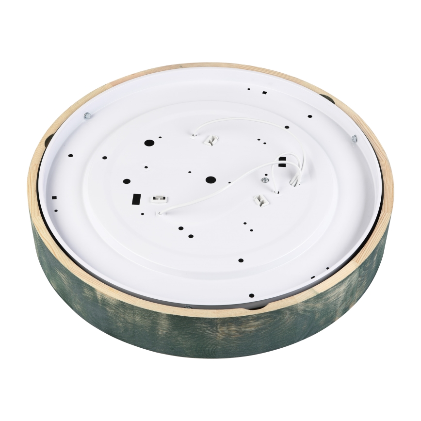 Brilagi - Plafonsko svetlo PINO 3xE27/15W/230V borovina/zelena prečnik 47,5 cm