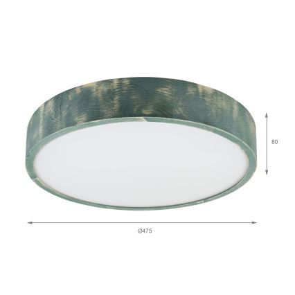 Brilagi - Plafonsko svetlo PINO 3xE27/15W/230V borovina/zelena prečnik 47,5 cm