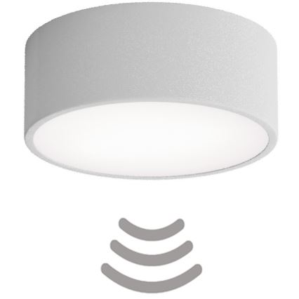 Brilagi - Plafonsko svetlo sa senzorom CLARE 1xE27/24W/230V pr. 20 cm sivo