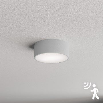 Brilagi - Plafonsko svetlo sa senzorom CLARE 1xE27/40W/230V pr. 20 cm sivo