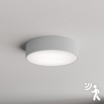 Brilagi - Plafonsko svetlo sa senzorom CLARE 2xE27/40W/230V, prečnika 30 cm, siva