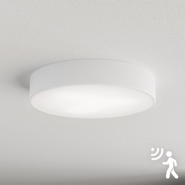 Brilagi - Plafonsko svetlo sa senzorom CLARE 3x E27/40W/230V, prečnik 40 cm, belo