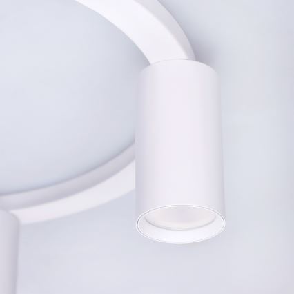 BRILAGI - Plafonsko svetlo SELE 4xGU10/30W/230V belo