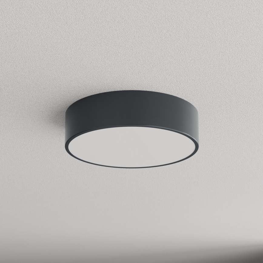 BRILAGI - Plafonsko svetlo za kupatilo CLARE 2xE27/24W/230V prečnika 30 cm antracit IP54
