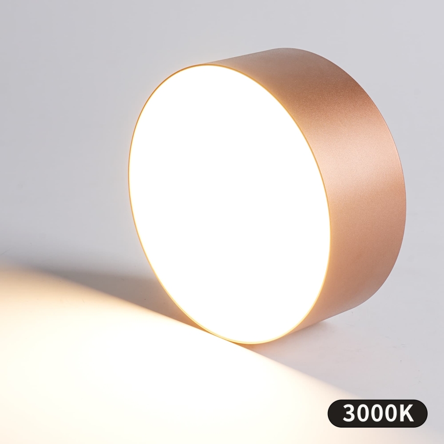 BRILAGI - Plafonsko svetlo za kupatilo FORIS LED/20W/230V prečnik 15 cm u bronzi IP44 CRI 90