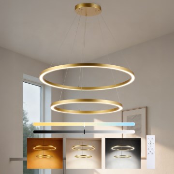 Brilagi - PORTOFINO prigušiva LED viseći luster na sajli LED/98W/230V 3000-6000K prečnik 80 cm zlatna + daljinski upravljač