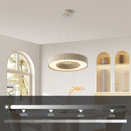 Brilagi - LED prigušiva luster na sajli LUMIX LED/48W/230V 3000-6000K bež, prečnik 50 cm + daljinski upravljač