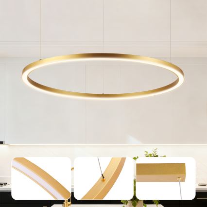 Brilagi - LED prigušiva luster na sajli PORTOFINO LED/60W/230V 3000-6000K prečnik 80 cm zlatna + daljinski upravljač
