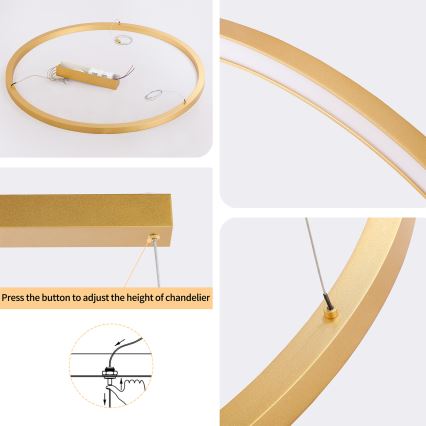 Brilagi - LED prigušiva luster na sajli PORTOFINO LED/60W/230V 3000-6000K prečnik 80 cm zlatna + daljinski upravljač