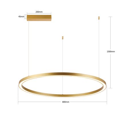 Brilagi - LED prigušiva luster na sajli PORTOFINO LED/60W/230V 3000-6000K prečnik 80 cm zlatna + daljinski upravljač