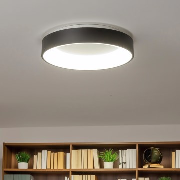 Brilagi - prigušiva LED plafonska svetiljka FALCON LED/40W/230V 3000-6500K prečnik 45 cm crna + daljinski upravljač
