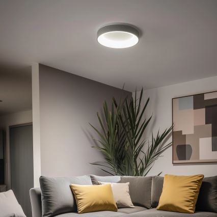 Brilagi - LED prigušiva plafonska lampa FALCON LED/80W/230V 3000-6500K prečnik 60 cm siva + daljinski upravljač