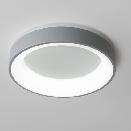 Brilagi - LED prigušiva plafonska lampa FALCON LED/80W/230V 3000-6500K prečnik 60 cm siva + daljinski upravljač