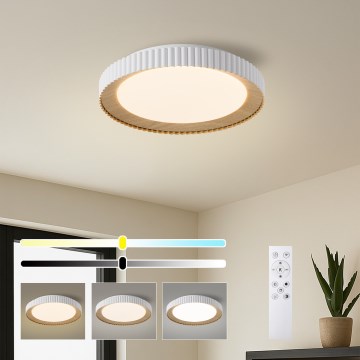 Brilagi - prigušiva LED plafonska svetiljka NEXO LED/48W/230V 3000-6000K bela, prečnik 43 cm + daljinski upravljač