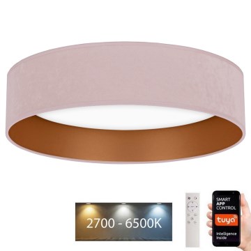 Brilagi - prigušiva LED plafonska svetiljka VELVET SMART LED/36W/230V prečnik 55 cm 2700-6500K Wi-Fi Tuya ružičasta/zlatna + daljinski upravljač