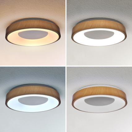 Brilagi - LED prigušiva plafonsko svetlo DORIA LED/48W/230V 3000-6500K preč. 39 cm + daljinski upravljač