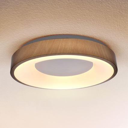 Brilagi - LED prigušiva plafonsko svetlo DORIA LED/48W/230V 3000-6500K preč. 39 cm + daljinski upravljač