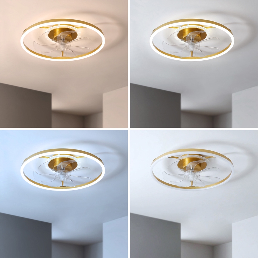 Brilagi - LED prigušiva plafonski ventilator LED/66W/230V 3000-6500K pr. 55 cm bela/zlatna + daljinski upravljač