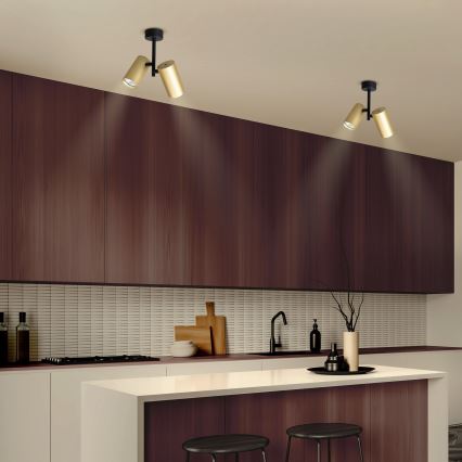 Brilagi - Reflektor SELE VERTICAL 2xGU10/30W/230V crna/zlatna