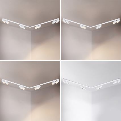 Brilagi - Reflektorsko svetlo SELE LONG 8xGU10/30W/230V belo
