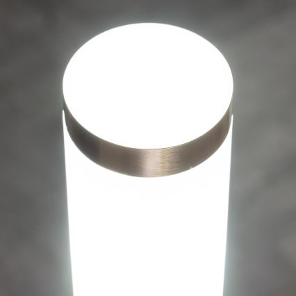 BRILAGI - Spoljašnja lampa sa senzorom pokreta ELIA 1xE27/20W/230V IP44 100 cm mat hrom