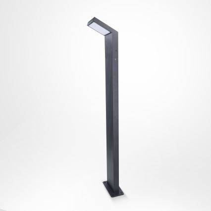 Brilagi - Spoljašnja LED lampa RIANO LED/8W/230V antracit IP65 80 cm