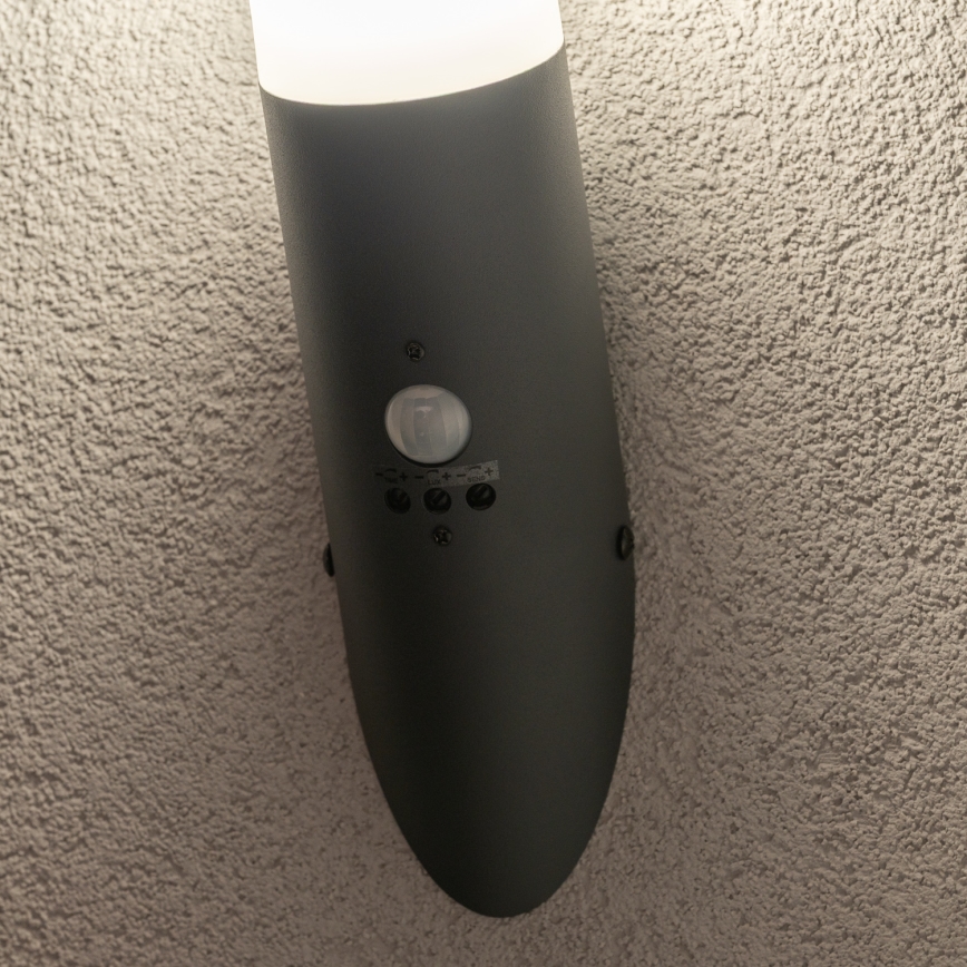 BRILAGI - Spoljna zidna lampa sa senzorom pokreta ELIA 1xE27/20W/230V IP44 antracit