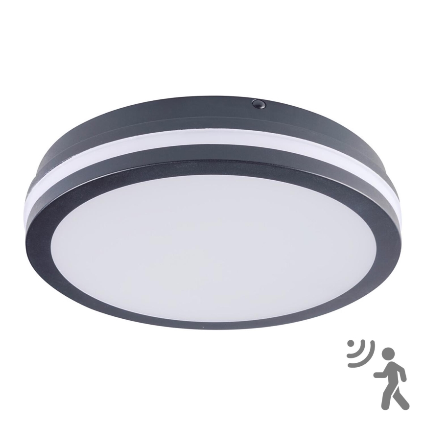 Brilagi - LED spoljno svetlo sa senzorom BENE LED/24W/230V, prečnik 26 cm, antracit, IP54
