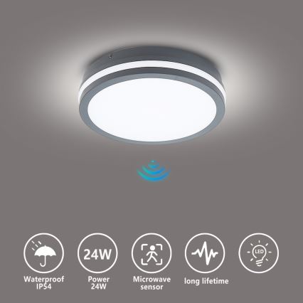 Brilagi - LED spoljno svetlo sa senzorom BENE LED/24W/230V, prečnik 26 cm, antracit, IP54