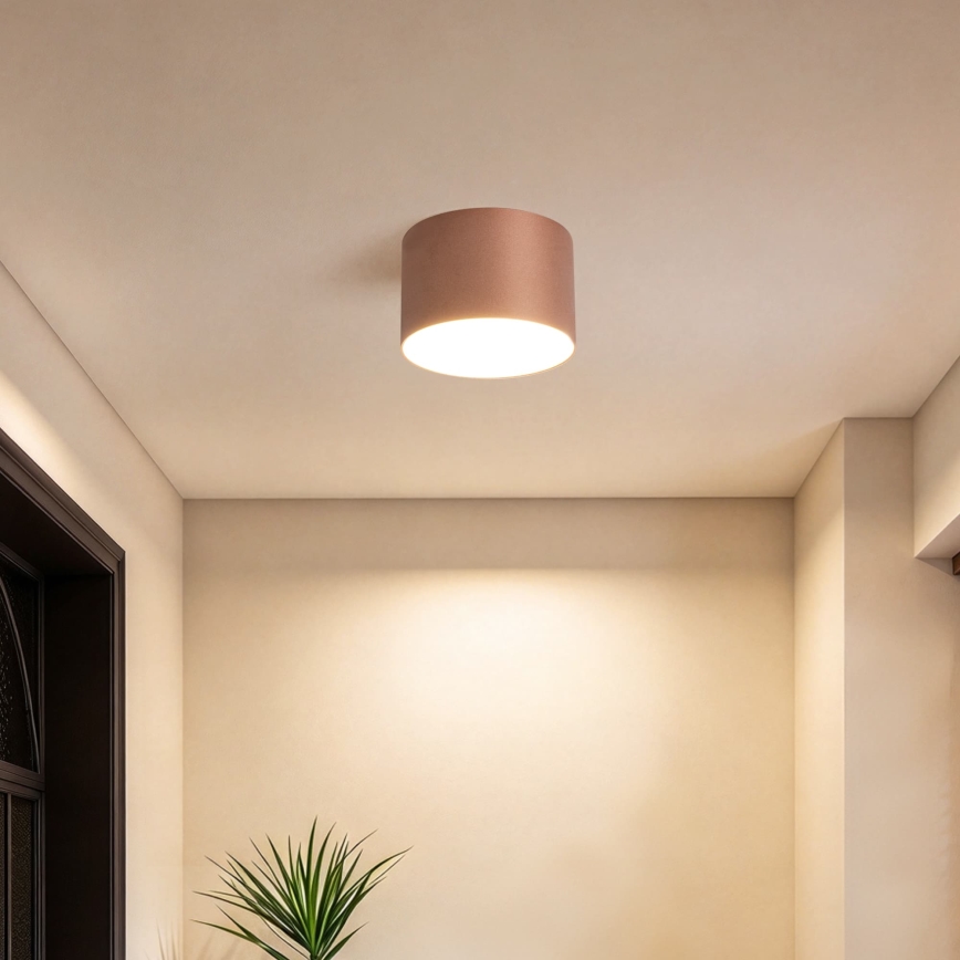 BRILAGI - Spoljašnje plafonsko svetlo FORIS LED/9W/230V prečnik 9 cm bronzano IP44