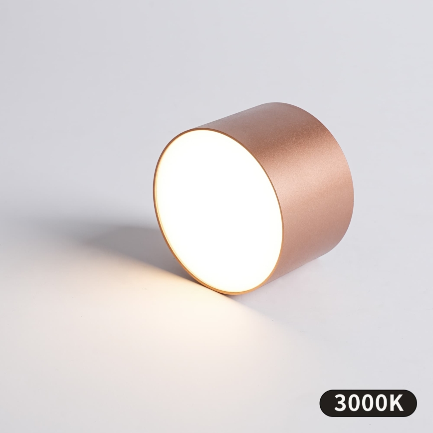 BRILAGI - Spoljašnje plafonsko svetlo FORIS LED/9W/230V prečnik 9 cm bronzano IP44