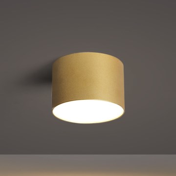 BRILAGI - Spoljno plafonsko svetlo FORIS LED/9W/230V prečnik 9 cm zlatno IP44