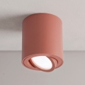 BRILAGI - Spot svetiljka MIA 1xGU10/30W/230V 84x80 mm braon