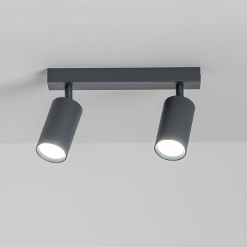 Brilagi - Spot svetiljka SELE 2xGU10/30W/230V antracit