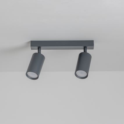 Brilagi - Spot svetiljka SELE 2xGU10/30W/230V antracit