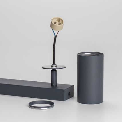 Brilagi - Spot svetiljka SELE 2xGU10/30W/230V antracit