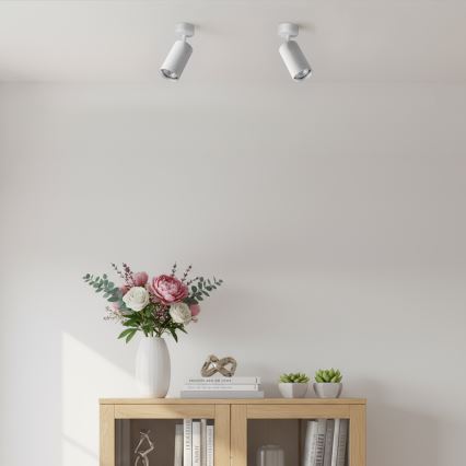 Brilagi - Spot svetiljka SELE MODERN 1xGU10/30W/230V bela